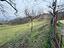 Immagine 16