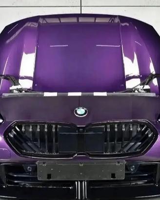 BMW 1 F70 Musata Proiettori Radiatori Paraurti Cof
