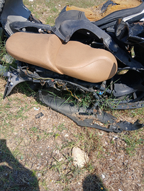 Vedo telaglio con libretto e blocco per ricambi