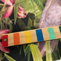 fisarmonica giocattolo