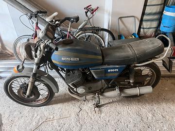 Moto guzzi TS-250