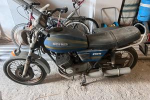 Moto guzzi TS-250