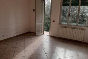 Appartamento con cantina