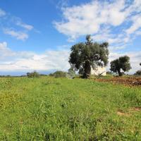 CASA DI CORTE A OSTUNI