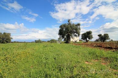 CASA DI CORTE A OSTUNI