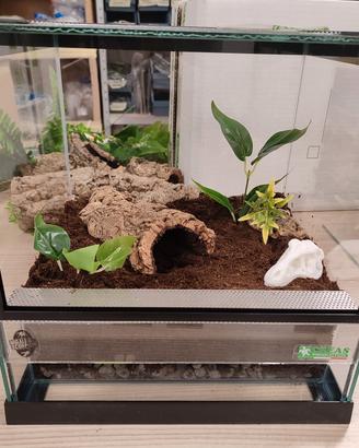 Teca per rettili Nuova!!!