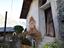 Immagine 25