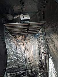 grow box 100x100