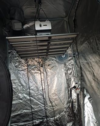 grow box 100x100