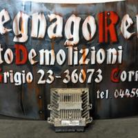 CENTRALINA MOTORE SIEMENS CITROEN/PEUGEOT SW966510