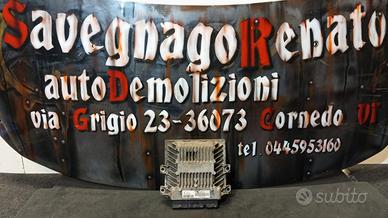 CENTRALINA MOTORE SIEMENS CITROEN/PEUGEOT SW966510