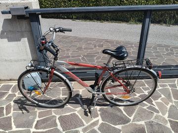 bicicletta da uomo