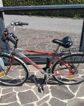 bicicletta da uomo