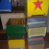 arnie attrezzatura apicoltura 