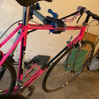 bicicletta Moser vintage professionisti