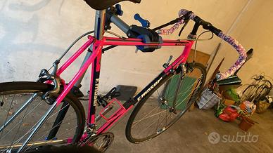 bicicletta Moser vintage professionisti