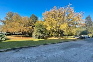 Vigne nuove - locale ad uso investimento