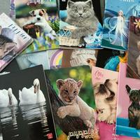 Quaderni scuola primaria 