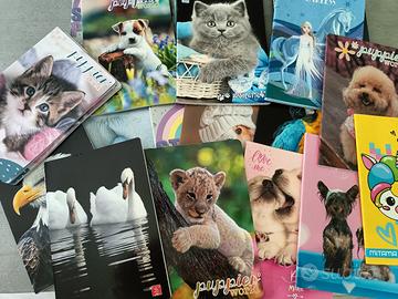 Quaderni scuola primaria 