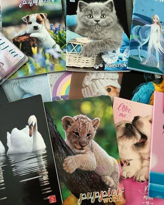 Quaderni scuola primaria 