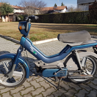 Atala green - rizzato