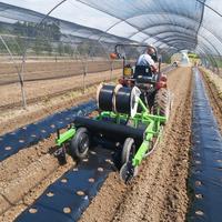 Baulatrice pacciamatrice 