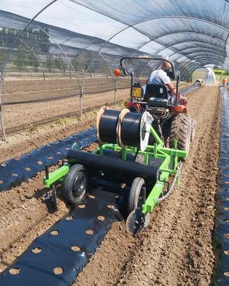 Baulatrice pacciamatrice 