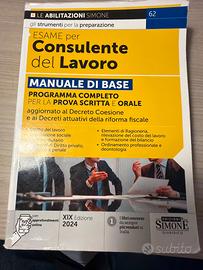 Esame consulente del lavoro Simone