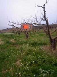 Contrada La Marchesa