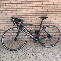 Bicicletta focus cayo