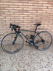 Bicicletta focus cayo