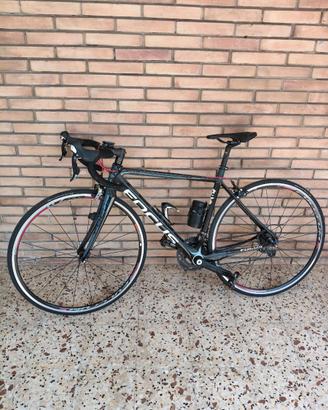Bicicletta focus cayo