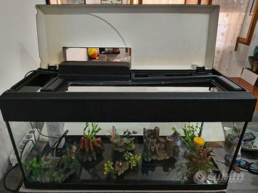 Acquario da 60 Litri