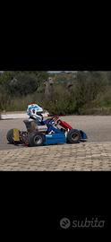Kart Baby 50cc