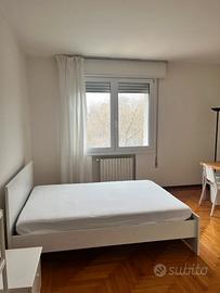 Singola zona Forcellini