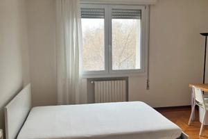 Singola zona Forcellini