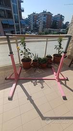 Parallela ginnastica artistica