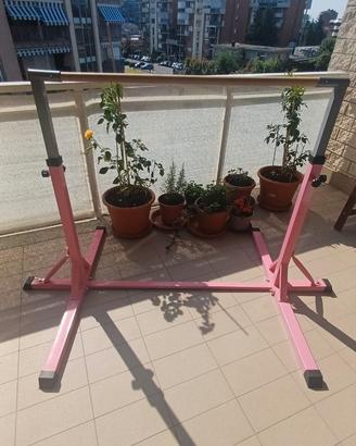Parallela ginnastica artistica