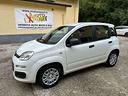 fiat-panda-1-0-firefly-s-s-hybrid-pandina