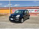 fiat-panda-easy-gpl-1-2-69cv