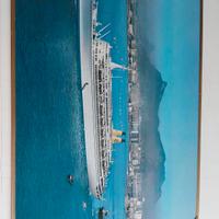 Cellograf Roy Vercelli