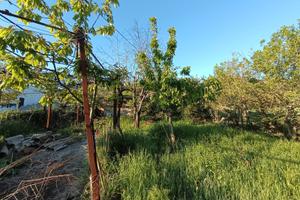 Terreno in agro di Nulvi