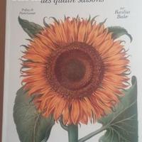 Basilius Besler da ed. 1613 a colori, in francese