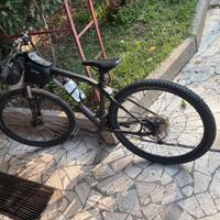 Bicicletta specialized