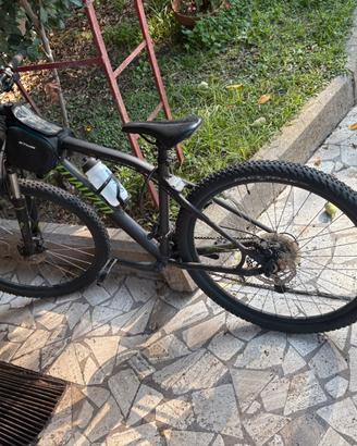 Bicicletta specialized
