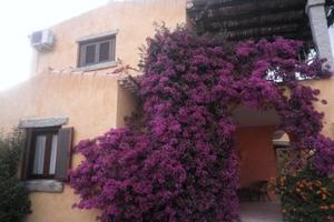 San Teodoro Casa indipendente con giardino