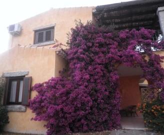 San Teodoro Casa indipendente con giardino