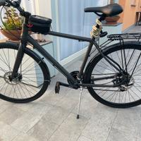 Bicicletta Vicini