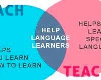 Corsi di lingua personalizzati e consulenze