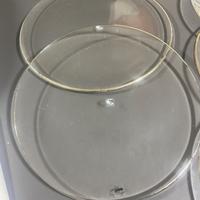 Sottopiatti in cristallo